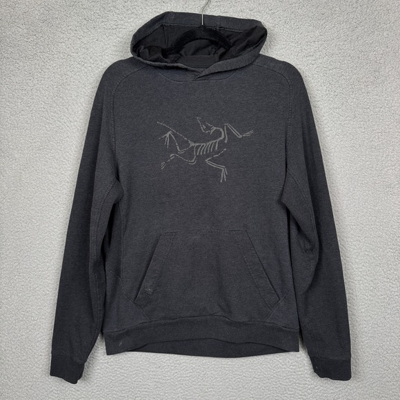 Arc'teryx Hoodie Mens M Gray Archaeopteryx Pullover Hoody Outdoor Performance - Picture 1 of 14